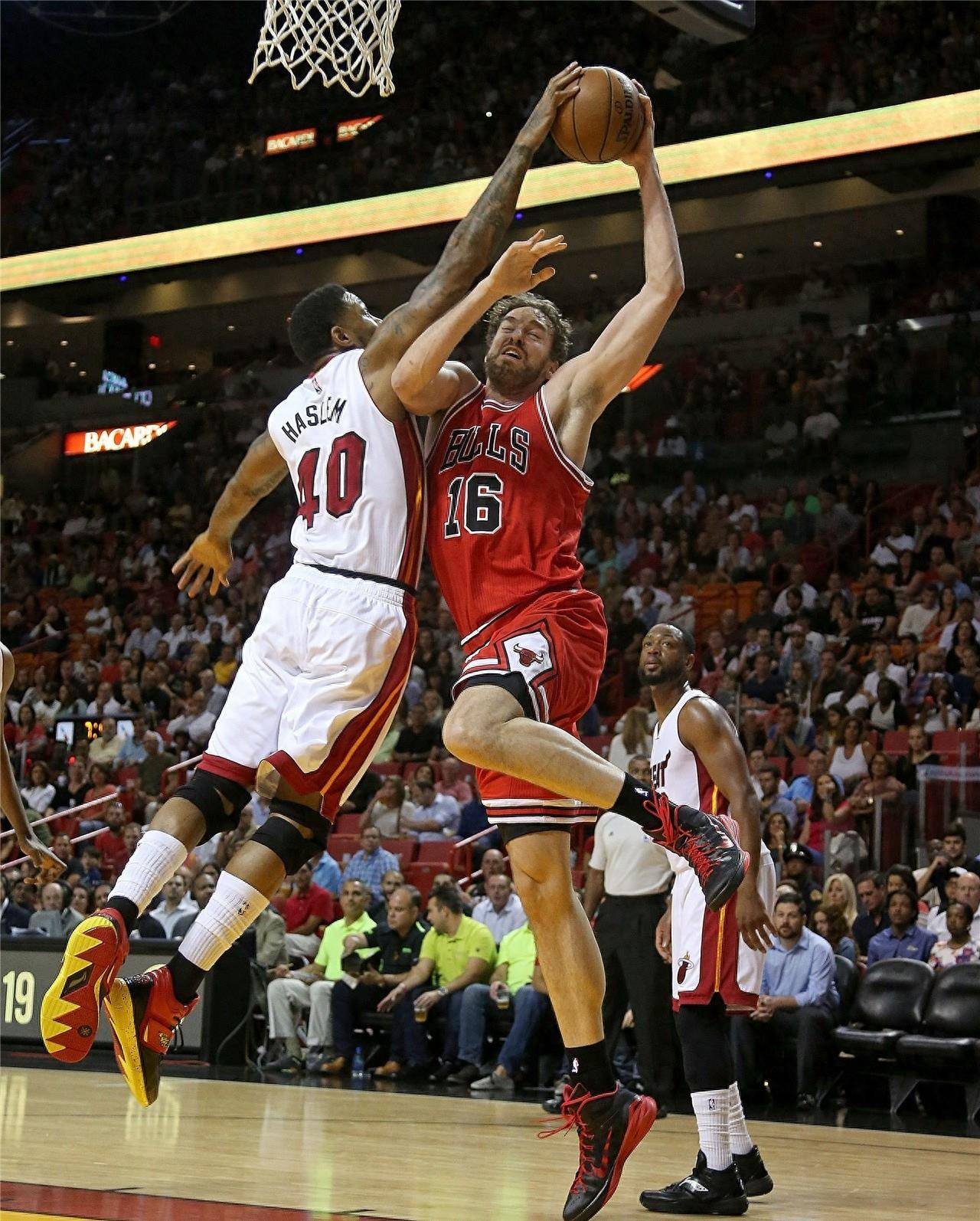 林葳在对阵 林葳在对阵