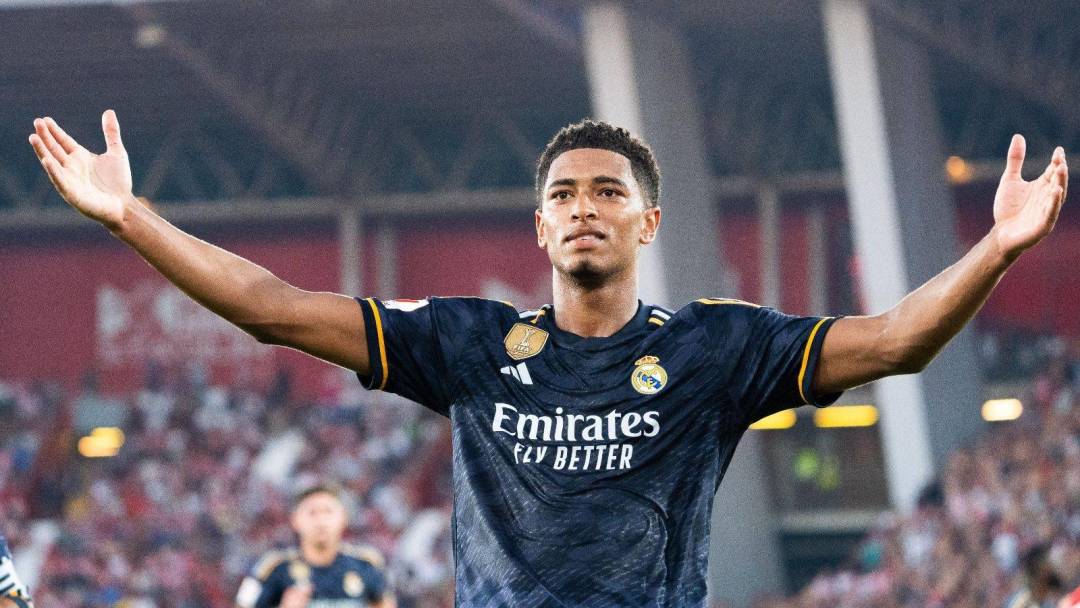 选手的职业 选手的职业