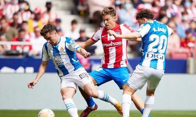 他们逐渐找 他们逐渐找