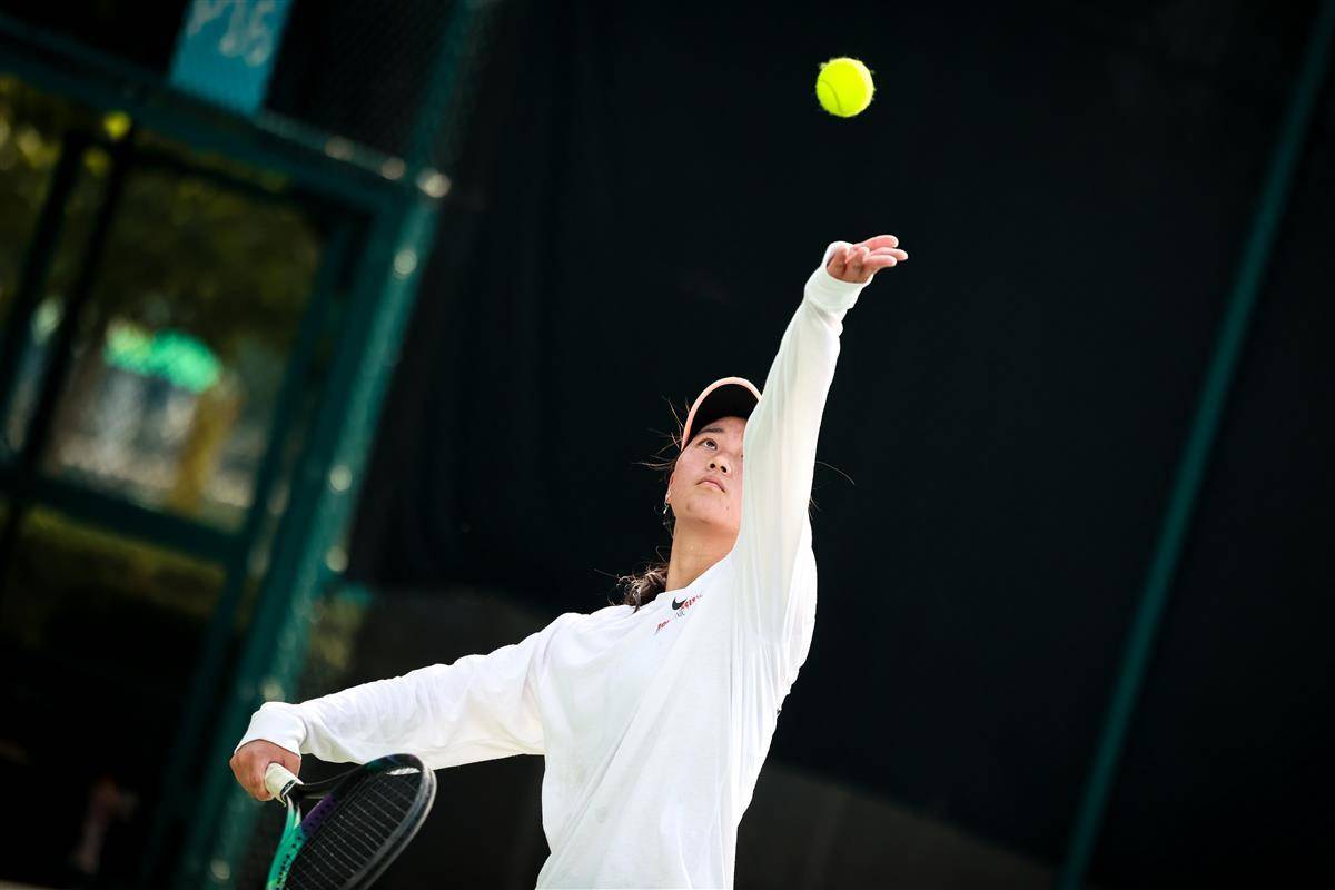 此类成功案 此类成功案